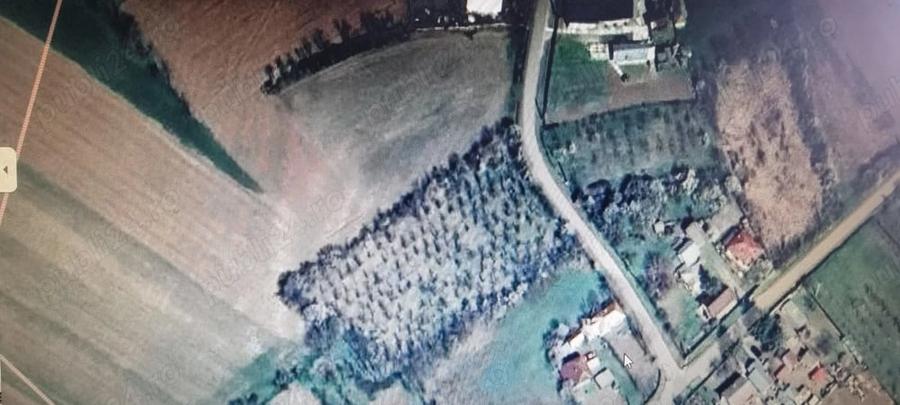 Teren de 4000 mp, în Crângurile