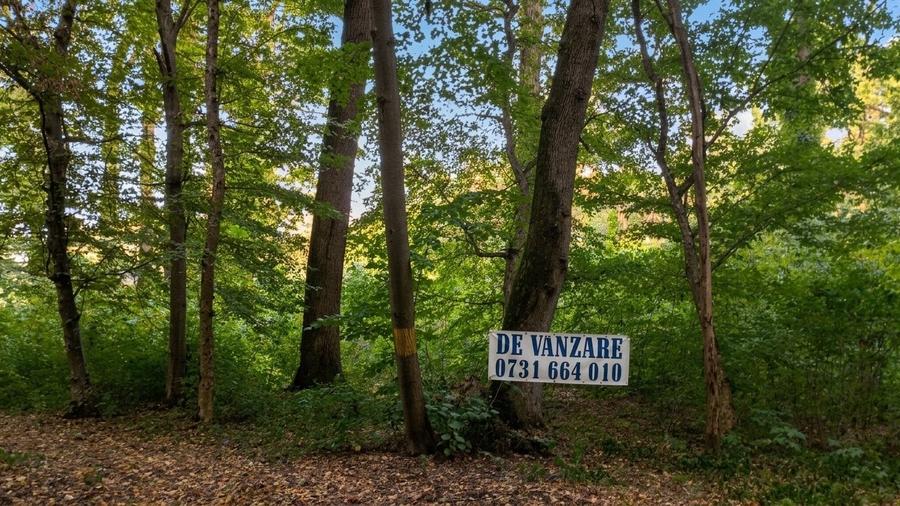 SUPER OCAZIE TEREN 4000MP DE VANZARE IN SNAGOV CU DESCHIDERE LA LACUL SNAGOV,NEG - 17