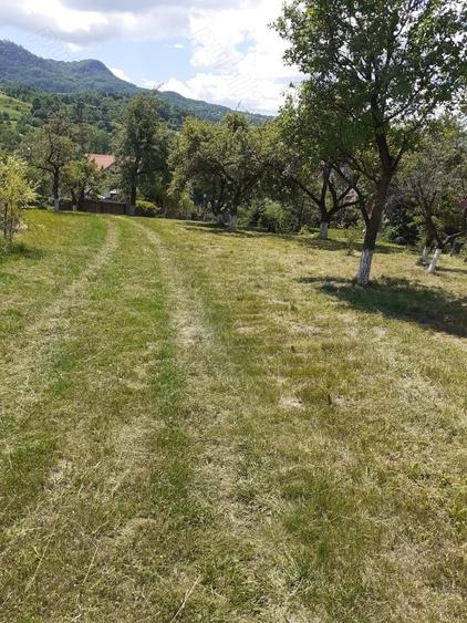 Teren de 1070 mp, în Ibănești