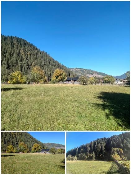 Casă cu 4 camere în Borca