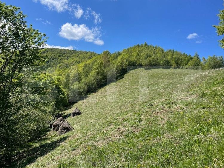 Teren agricol extravilan de 6000 mp, în Valea Ierii