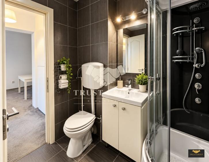 Apartament cu 2 camere semidecomandat, mobilat în Pajura