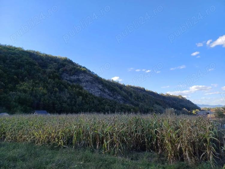 Teren de 2800 mp, în Central