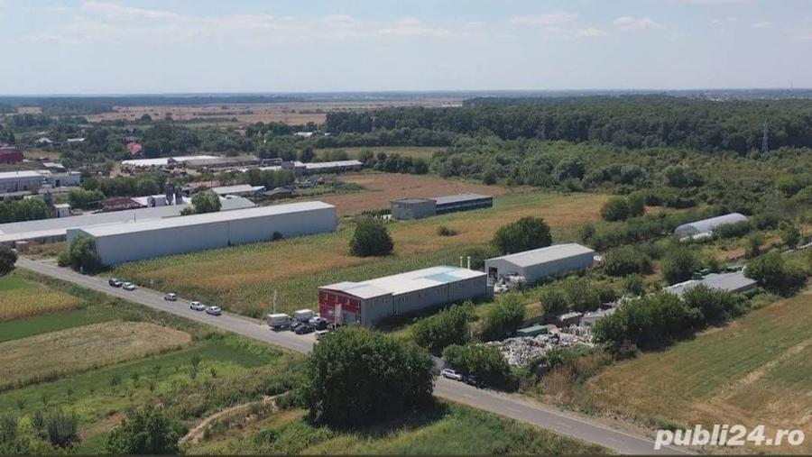 Teren de 5548 mp, în Jilava