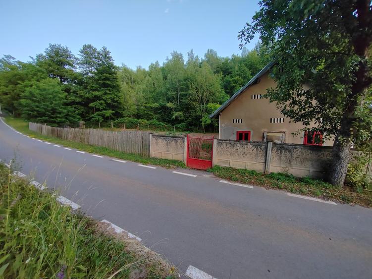 Casă individuală cu 4 camere cu Teren 8700 Mp în Băița