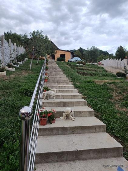 Casă cu 4 camere în Jiblea Nouă
