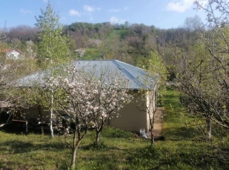 Casă cu 4 camere cu Teren 2134 Mp în Răzvad
