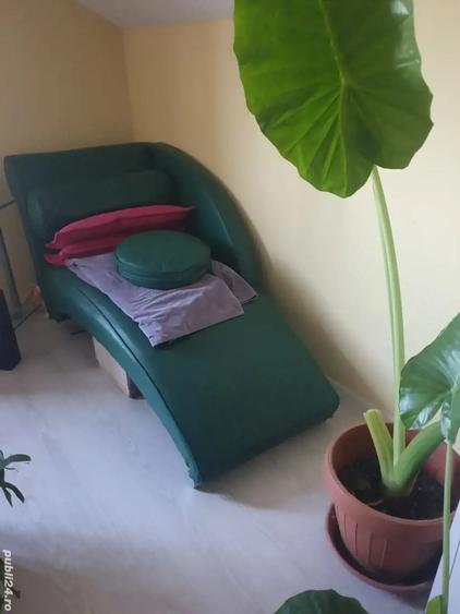 Casă cu 3 camere cu Teren 272 Mp în Săcălaz