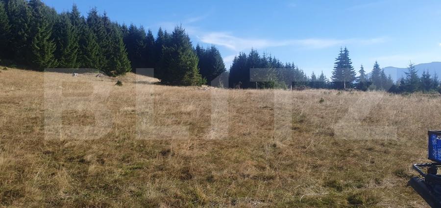 Teren Construcții extravilan de 50000 mp, în Vatra Dornei