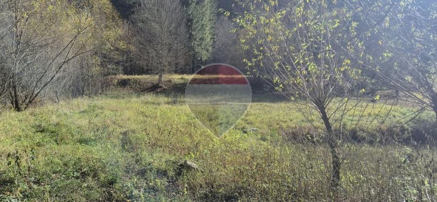 Teren Construcții intravilan de 2800 mp, în Tarcău