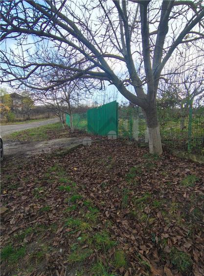 Teren de 750 mp, în Bucium