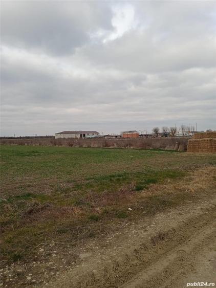 Teren de 5480 mp, în Țegheș