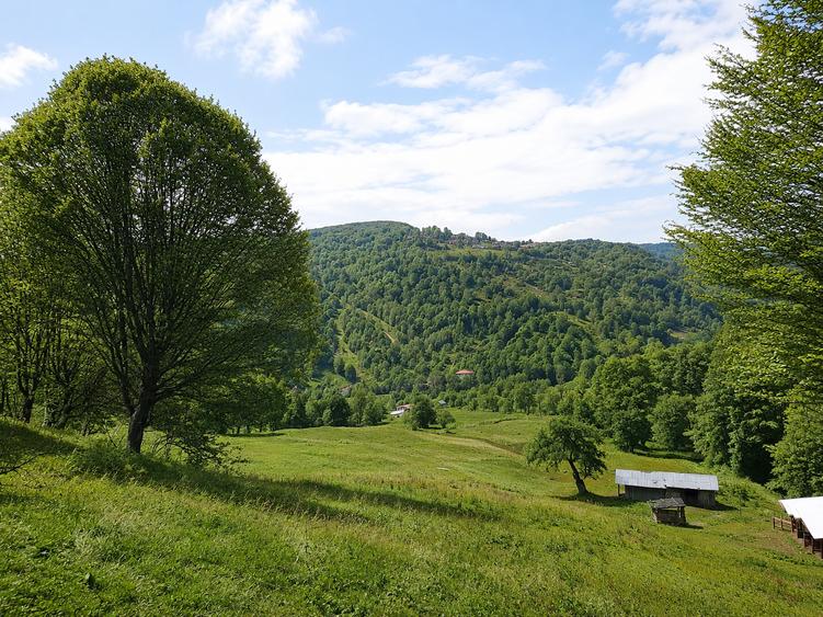 Teren extravilan de 2746 mp, în Vădurele (Alexandru cel Bun)