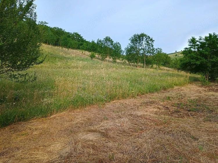 Teren de 4000 mp, în Florești