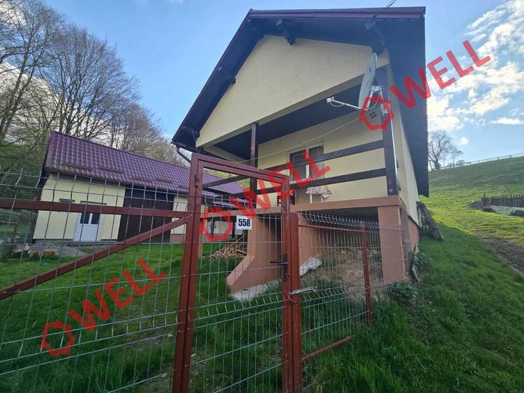Casă cu 3 camere cu Teren 6000 Mp în Sita Buzăului