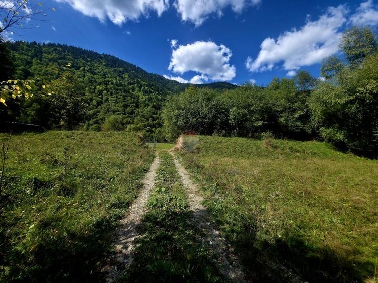Teren Construcții intravilan de 1113 mp, în Cazaci