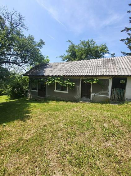 Spațiu comercial, în Tunari