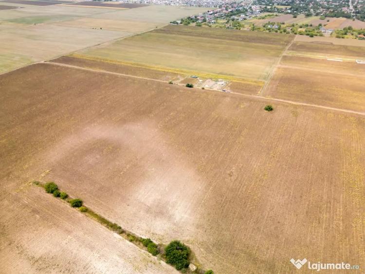 DASCALU TEREN INTRAVILAN 11300 MP, INVESTITIE! - Dascalu (Bucuresti-Ilfov) - 18