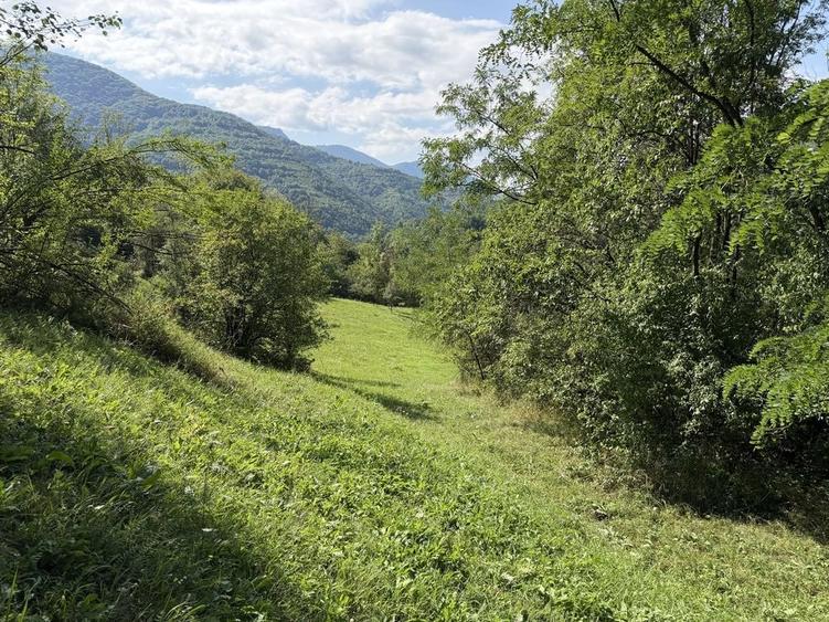 Teren intravilan 4.128 mp Ocolis Alba priveliste superba curent la proprietate - 7