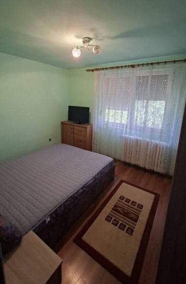 Apartament cu 2 camere decomandat în Rogerius