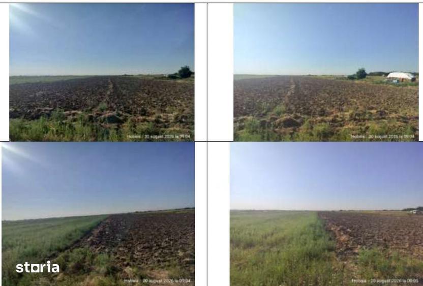Teren de 5000 mp, în Ogrezeni