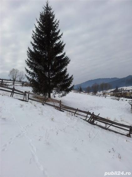 Teren de 5800 mp, în Central