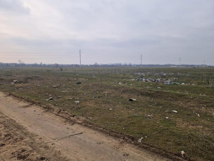 Teren Construcții extravilan de 726 mp, în Cernele