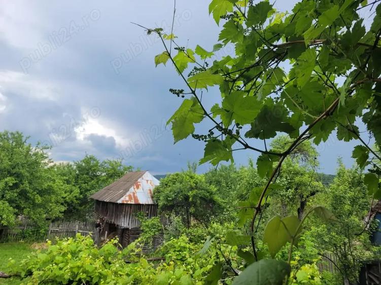 Teren de 800 mp, în Corbi
