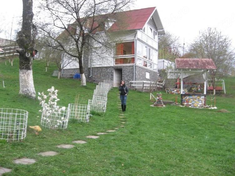 Casă cu Teren 4000 Mp în Central