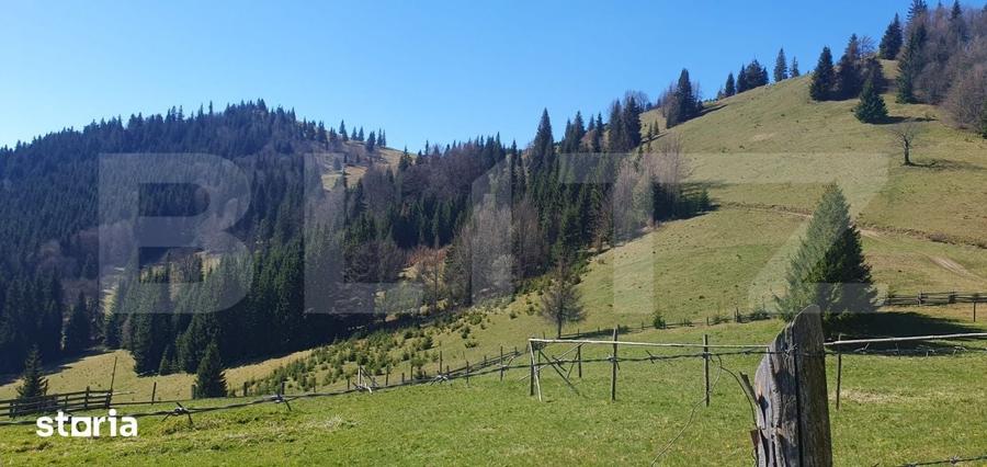Teren de 206189 mp, în Central