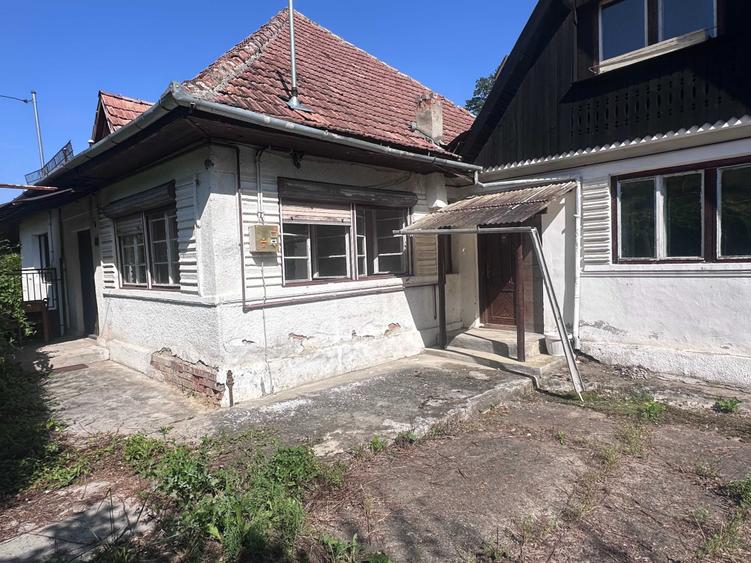 De vanzare douo case. Una pe Strada Canepii 55 - necesita renovare; cealalta, momentan in regim hotelier, pe Ilarie Chendi 70(poarta de lemn). - 3