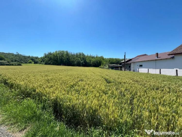 Meline?ti, Amara?ti - Teren intravilan cu vedere la pad - 2