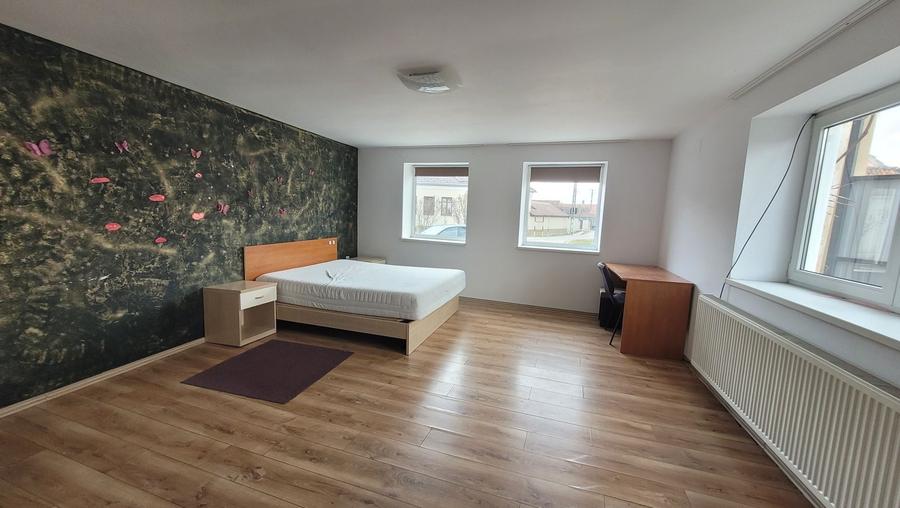 Casă cu 2 camere cu Teren 650 Mp în Crizbav
