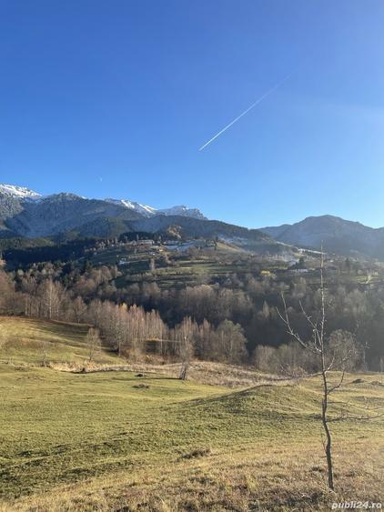 Teren de 10000 mp, în Bran