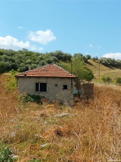 Teren de 5550 mp, în Central