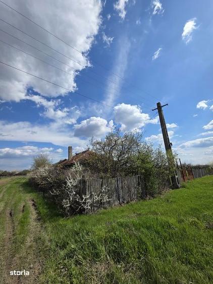 Casă cu 3 camere cu Teren 20000 Mp în Leleasca