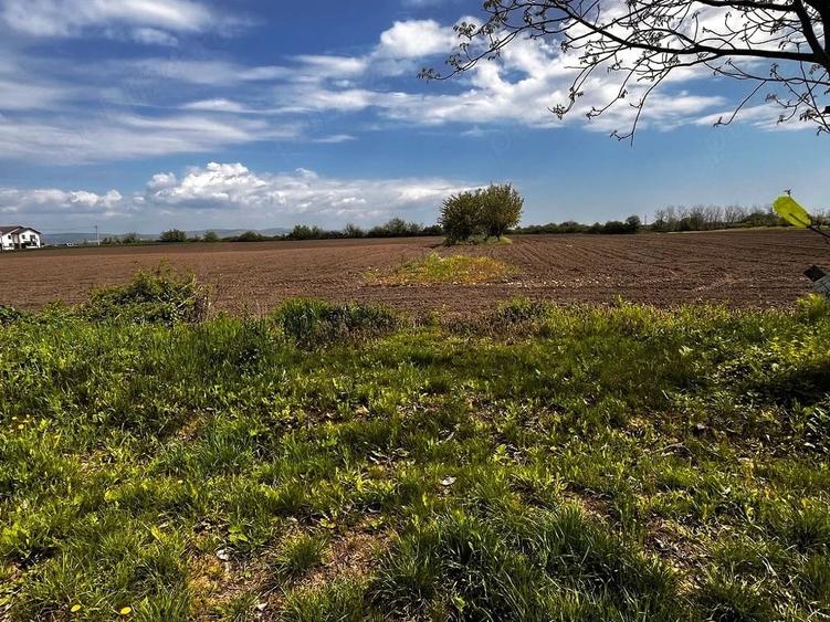 Teren de 1700 mp, în Berceni