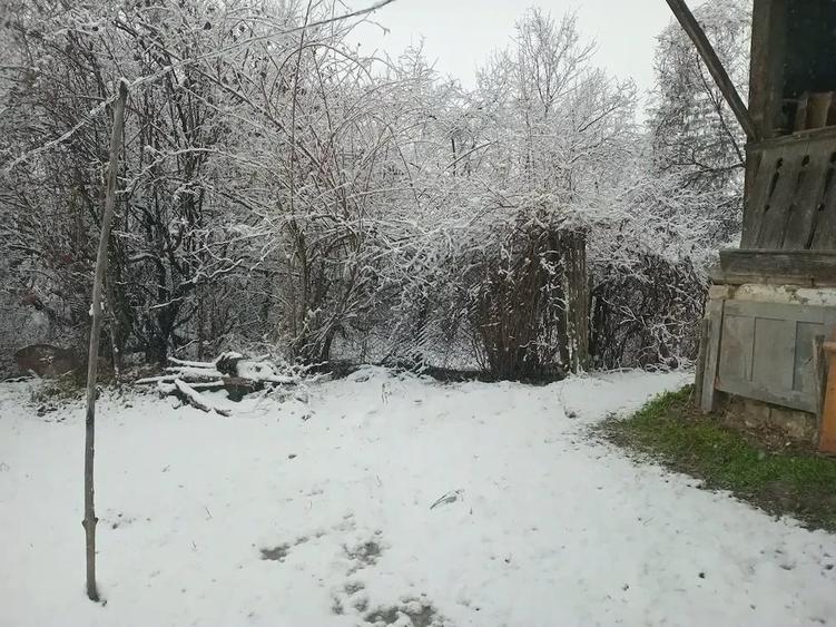 Casă cu 2 camere cu Teren 1000 Mp în Viperești