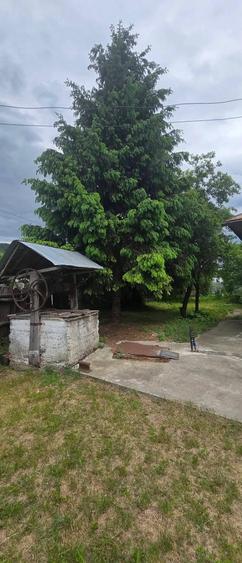 Casă cu Teren 1700 Mp în Gioseni