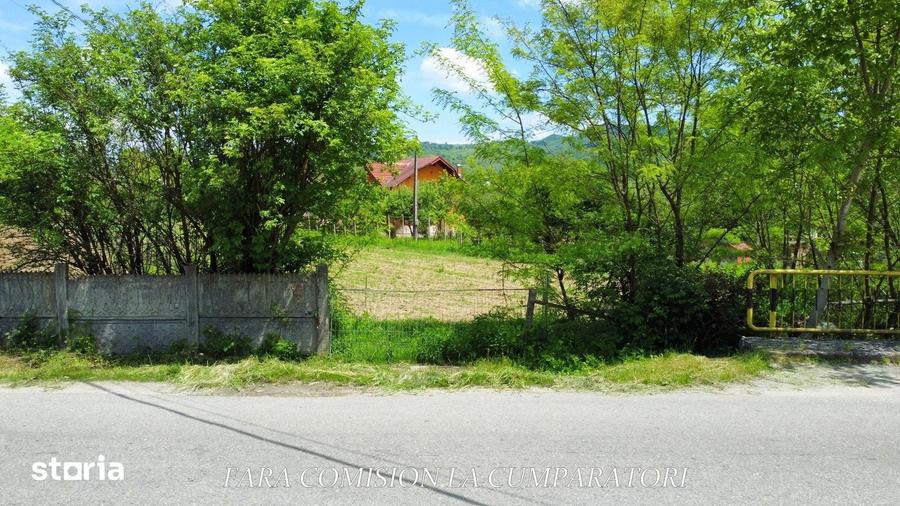 Teren de 1965 mp, în Păușești