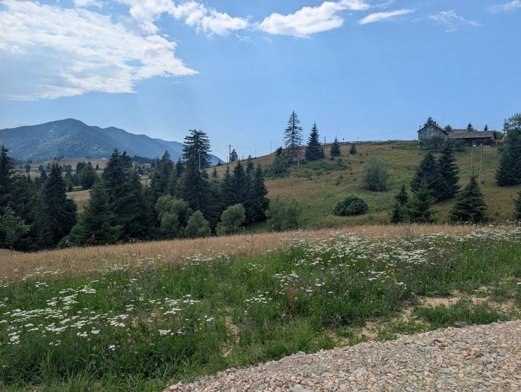 Spațiu comercial, în Piatra