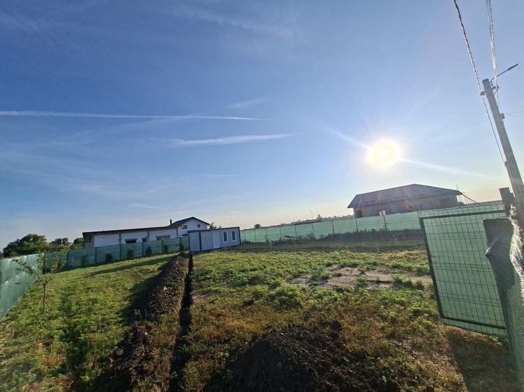 Vand teren intravilan, Islaz, comuna Branesti - 4
