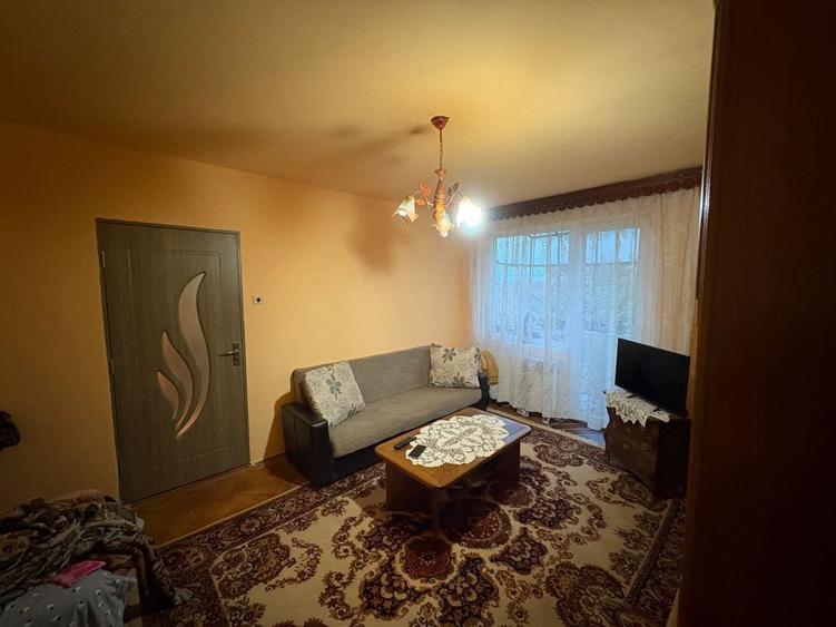 Apartament cu 2 camere, mobilat în Elisabetin