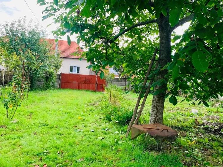 Casă cu Teren 862 Mp în Căpâlna