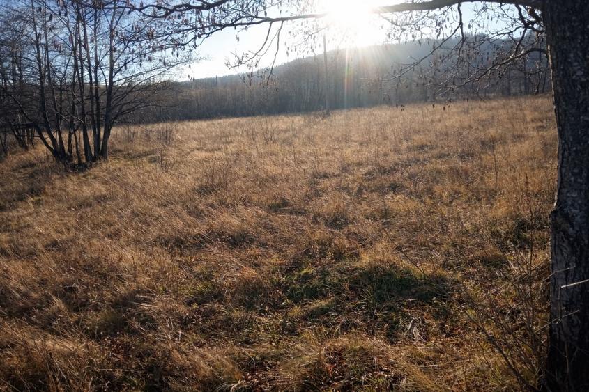 Teren Construcții extravilan de 5000 mp, în Vicovu de Jos