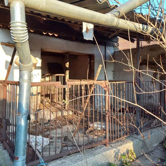 Casă cu 3 camere în Central