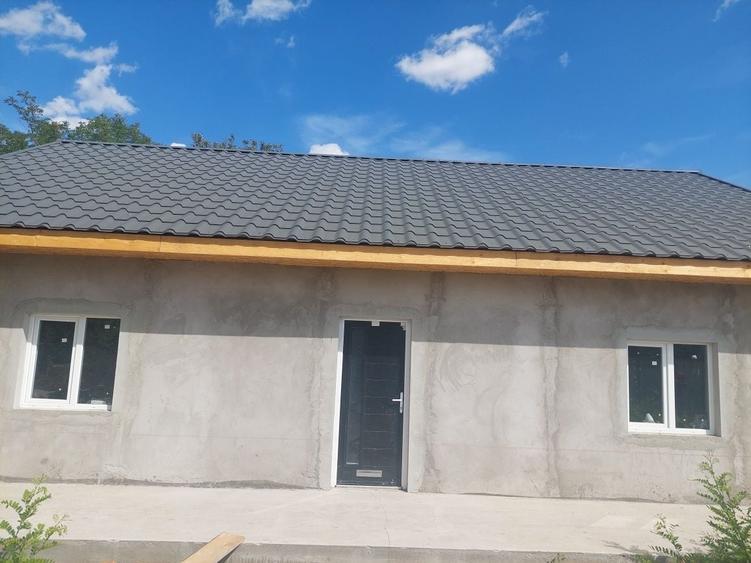 Casă cu 2 camere în Mereni