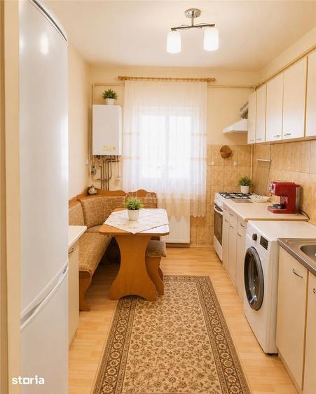 Apartament cu 3 camere decomandat în Valea Borcutului