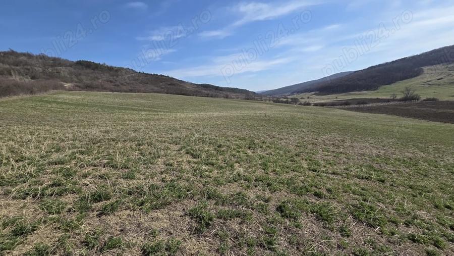 Teren de 600 mp, în Central