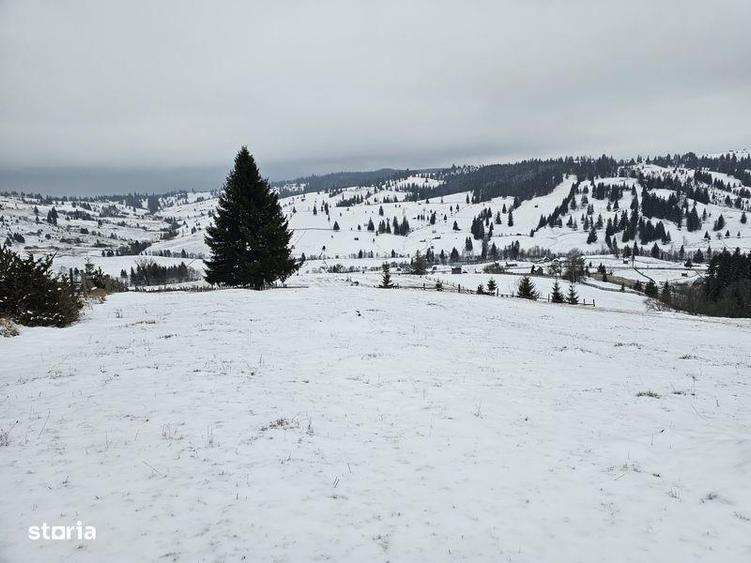 Teren de 25731 mp, în Breaza